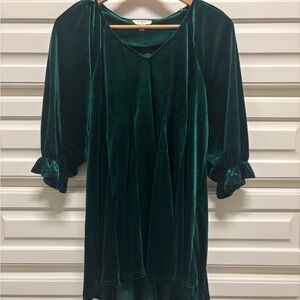 Umgee Green Velvet Top